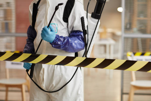 Professional Biohazard technician working in Milan, NH